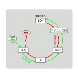 悪臭発生経路 図