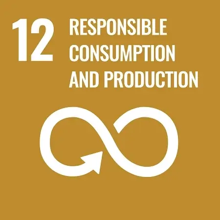 SDGs 目標 つくる責任 つかう責任