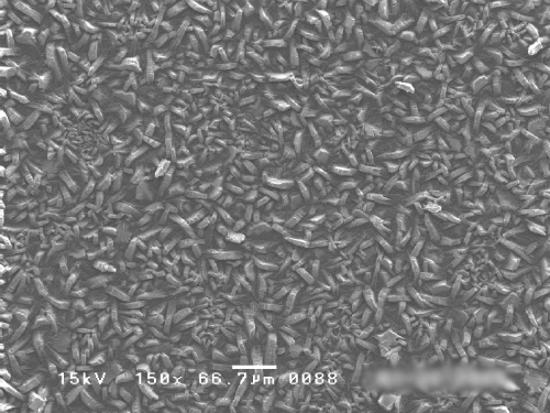 リン酸亜鉛皮膜結晶写真